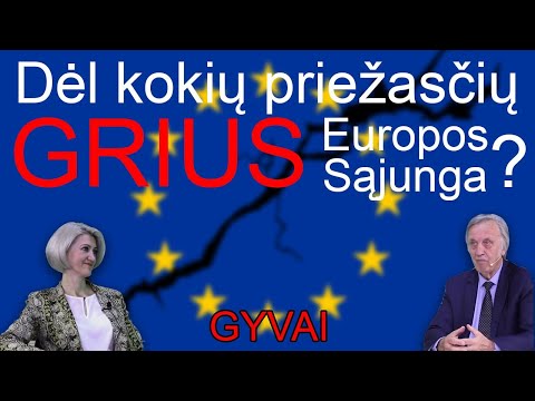 Kaip suprasti Lietuvos užsienio politiką? Arba dėl kokių priežasčių grius ES?