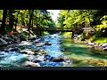 Deep Sleep Therapy with Natural Sounds 🌿 Stress Relief, Insomnia &amp; Focus Healing