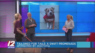 Dogtopia and The Heart of Rhode Island Animal Rescue League introduce us to Jackson