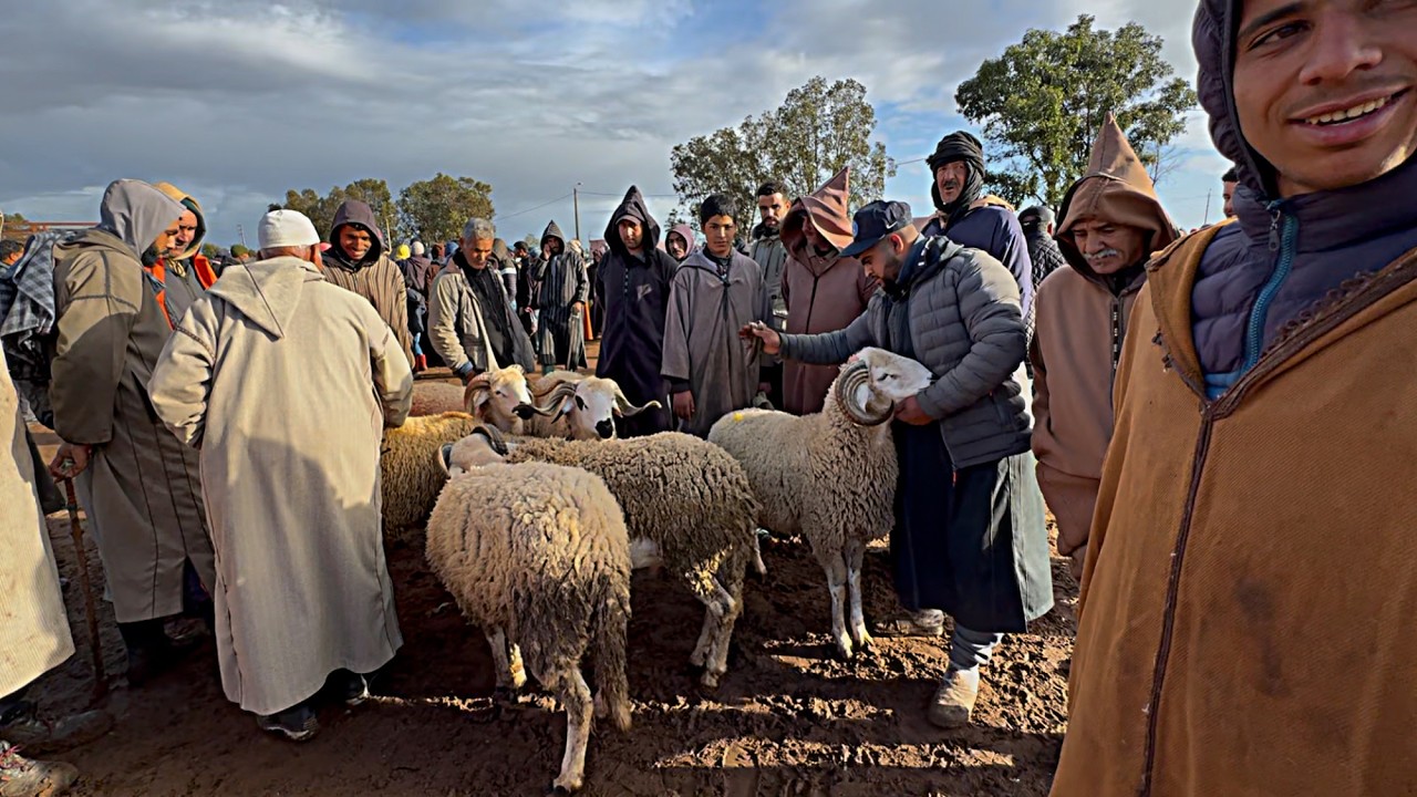 سوق الأسبوع حد ولاد افرج 9-3-2025