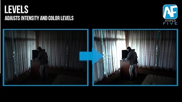 Levels: Adjust Intensity and Color Levels in Amped FIVE