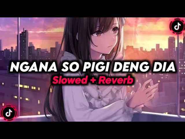 DJ NGANA SO PIGI DENG DIA (SLOWED + REVERB) class=