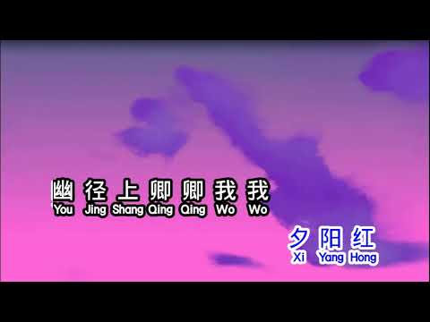 庄学忠  Zhuang Xue Zhong 往日的旧梦 wang ri de jiu meng