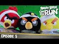 Angry Birds on The Run | The Flock Get Reflective - S1 Ep5