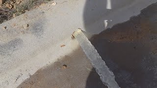 Installing two yard sump pumps (dewatering pumps)