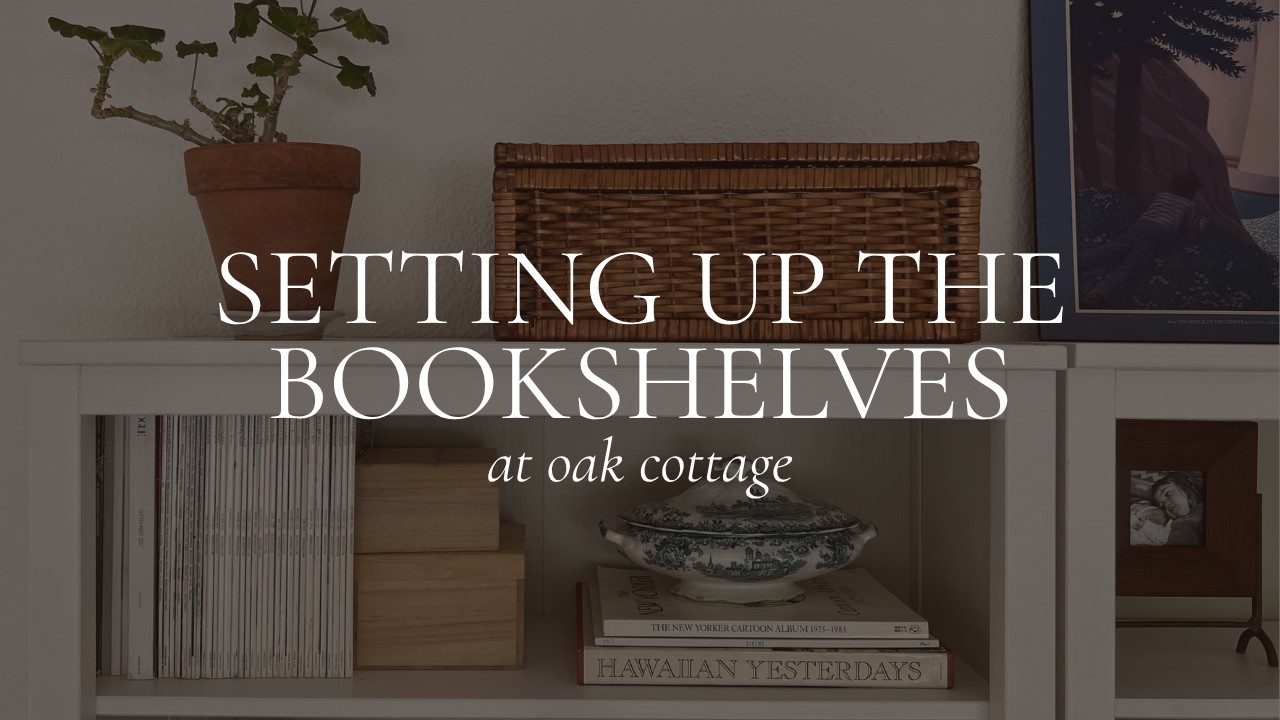 Setting up the bookshelves