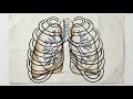 SISTEMA RESPIRATORIO
