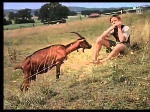 Tischlein Deck Dich 1956 Deutsche Marchenfilme Und Kinderfilme Youtube