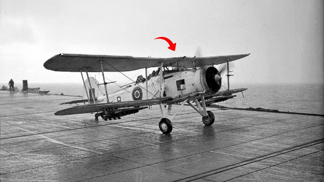 Японцы издевались над британскими «древними» бипланами «Swordfish», пока они не потопили больше к...