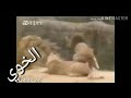 فزعة نمر على اسد نجومي