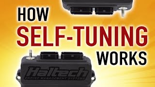 🛠 How Self Tuning Works: Short Term vs Long Term Fuel Trim | TECHNICALLY SPEAKING
