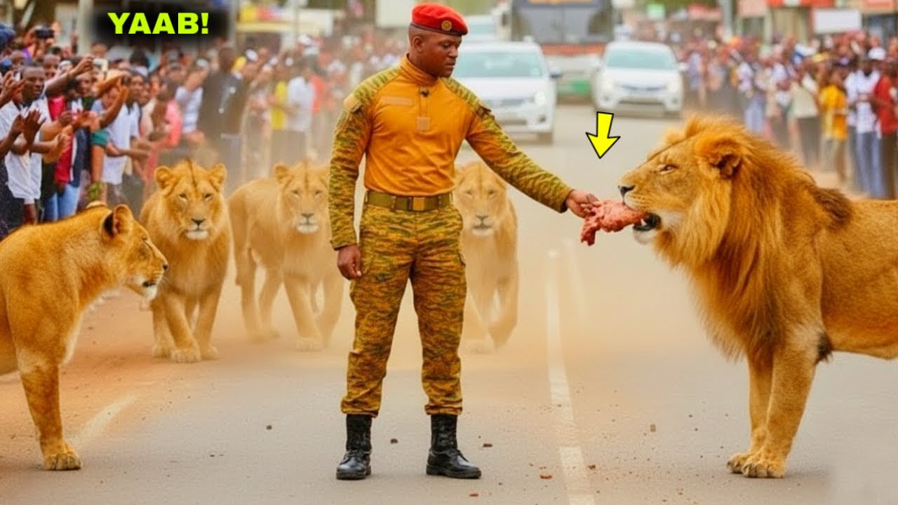 Ibrahim Traore iyo Libaaxii Markhaatiga Ahaa | Qiso Cajiiba | 