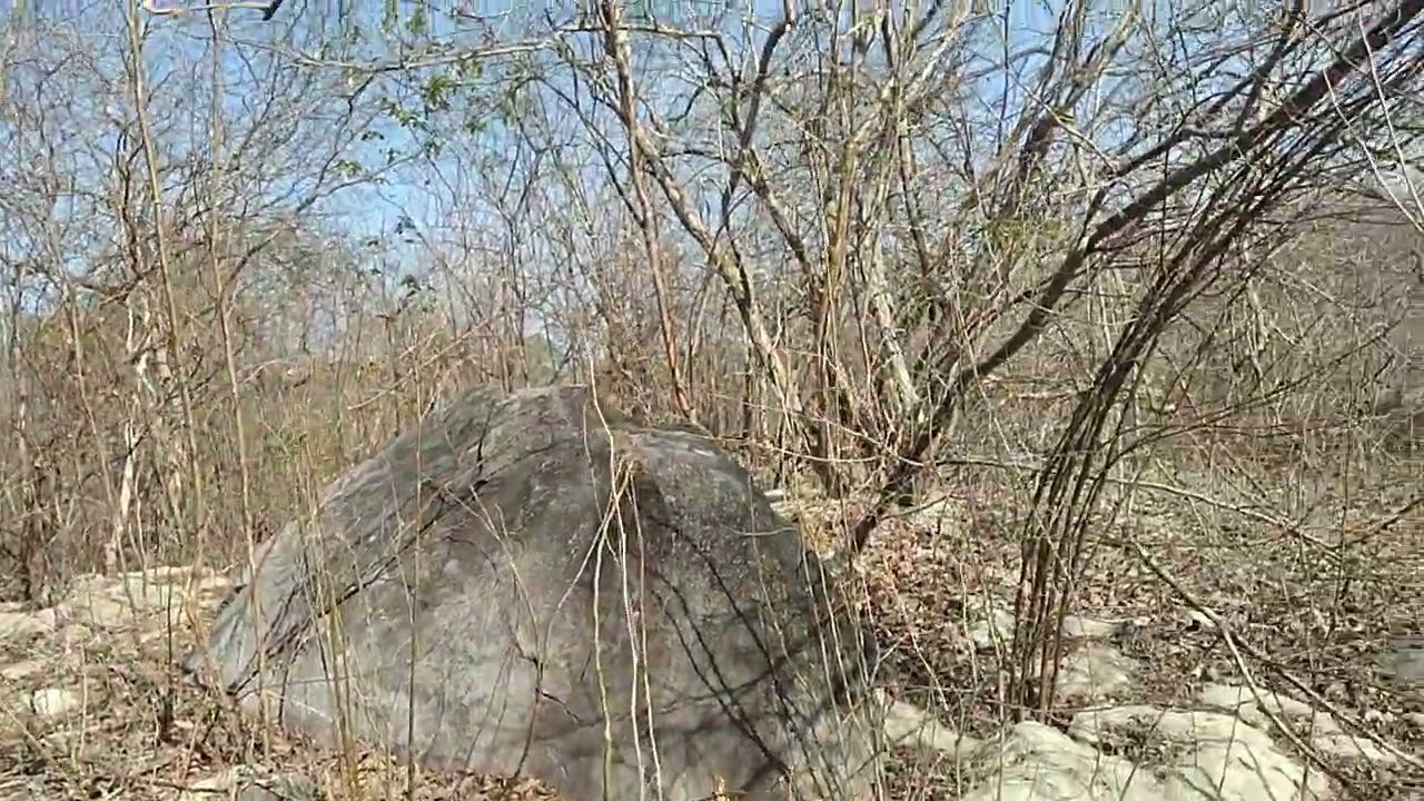 24 de janeiro de 2026