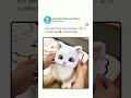 ig: @kittensloveru #fypviralシ