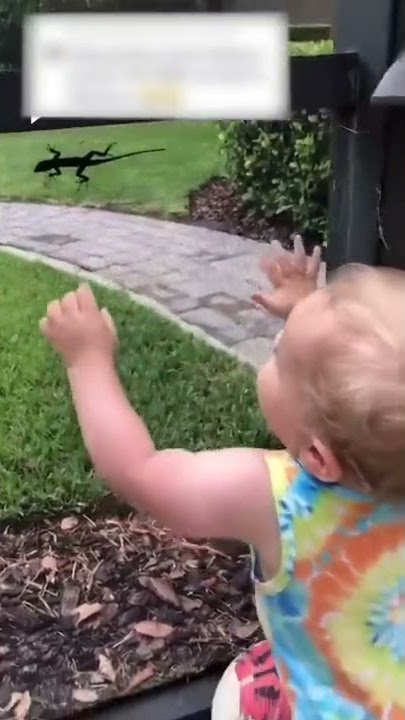 Cute baby get lizard on hand #shorts #shortsfeed #share #funny #shortvideo