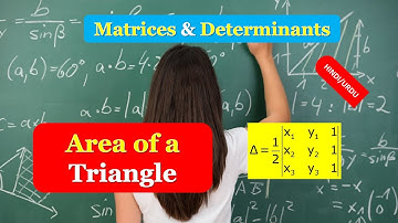 Area of a Triangle | Area of a Triangle using Determinants | Applications of Determinants HINDI URDU