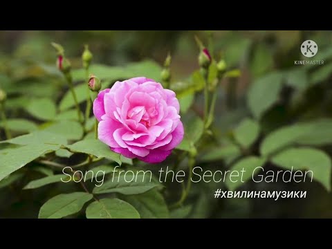 Song from the Secret Garden Piano violin #Chwilamusic