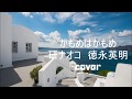 ★リクエスト曲★かもめはかもめ  研ナオコ 徳永英明 ギター弾き語り cover