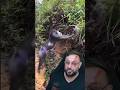 família de macaco mandril atravessando estrada, ele é muito diferenciado... #animais #macaco #shorts