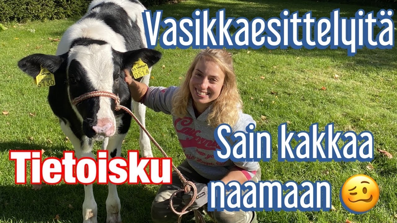 Keisalan tilan uutiset 12