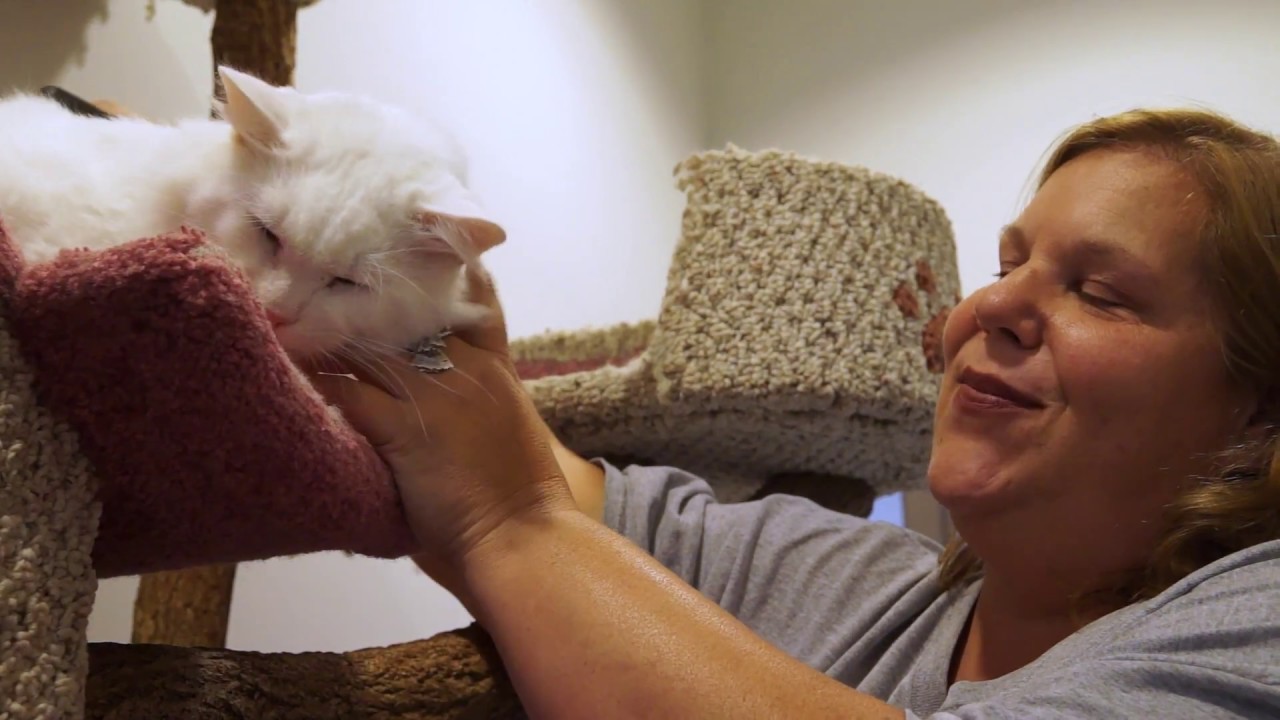 The Anti-Cruelty Society's Foster Program 2017