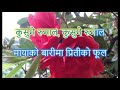 Kusume Rumal Karaoke क स म र म ल With Lyrics Kusume Rumal Karaoke क स म र म ल With Lyrics