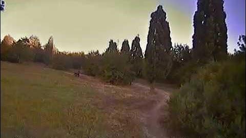 Betaflight 2.9 // Multishot 8khz/8Khz/4Khz Littlebee 20A PID Testing