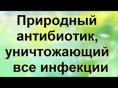 Природный антибиотик, который уничтожает все инфекции мочевого пузыря и почек.