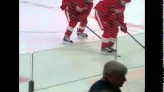 Datsyuk & Tatar
