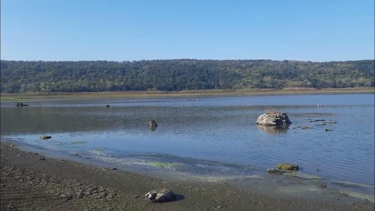 Оскільске водосховище ,,Оскольское водохранилище,, берег - YouTube