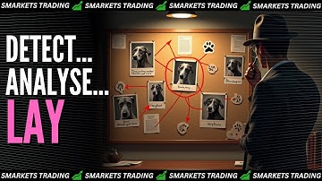 The Lay Files || Profiling Greyhounds