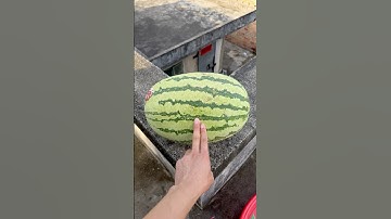 Experiment: Will watermelons and cantaloupes explode when rolled down a tall building? 🍉🍈#shorts