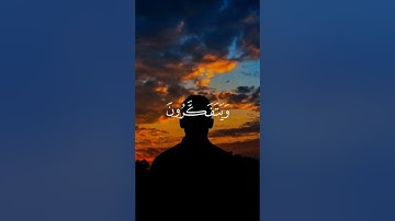 صوت قران من عالم اخر | اجمل صوت راح تسمعة | اجمل تلاوة