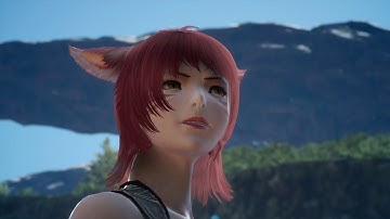 FFXIV & FFXV Crossover Play n