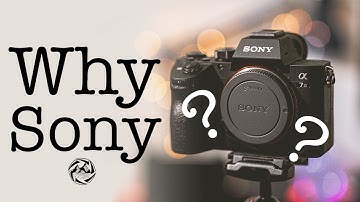 Why did I choose Sony? & Sony a7iii vs Lumix G9 ISO/Low-Light Comparison