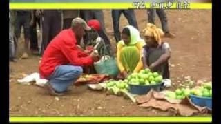 Download Gurage Best Music 4 Video MP3 Gurage Best Music 4