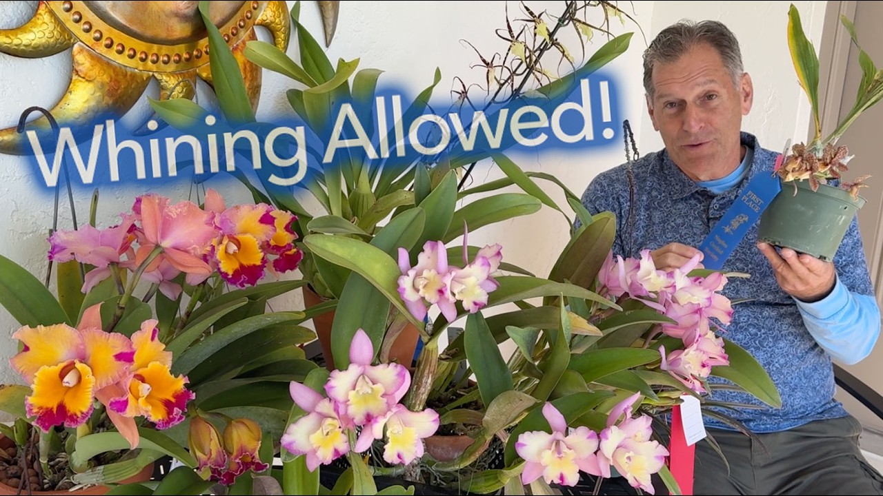 Жаловаться разрешено