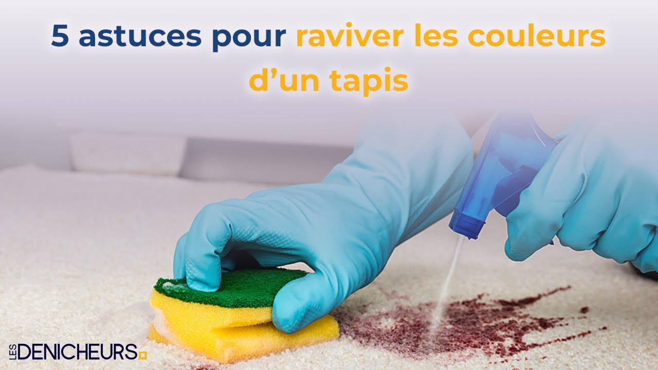 Spado Shampooing pour moquette et tapis - 600 mL - Moquette, Tapis