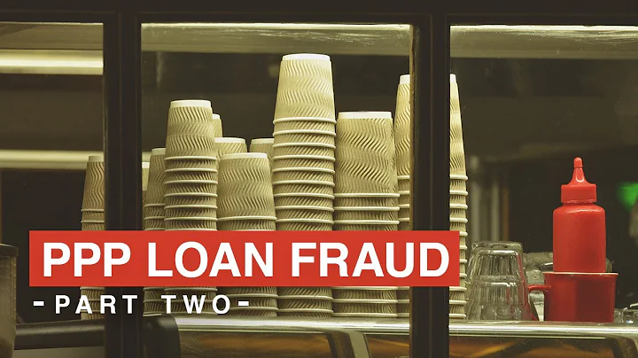 Paycheck Protection Program - PPP Loan - PPP Fraud - Part 2 | Amin Law
