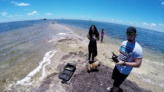3DR Solo Drone Footage No Gimbal Attachment RAW Black Point Marina