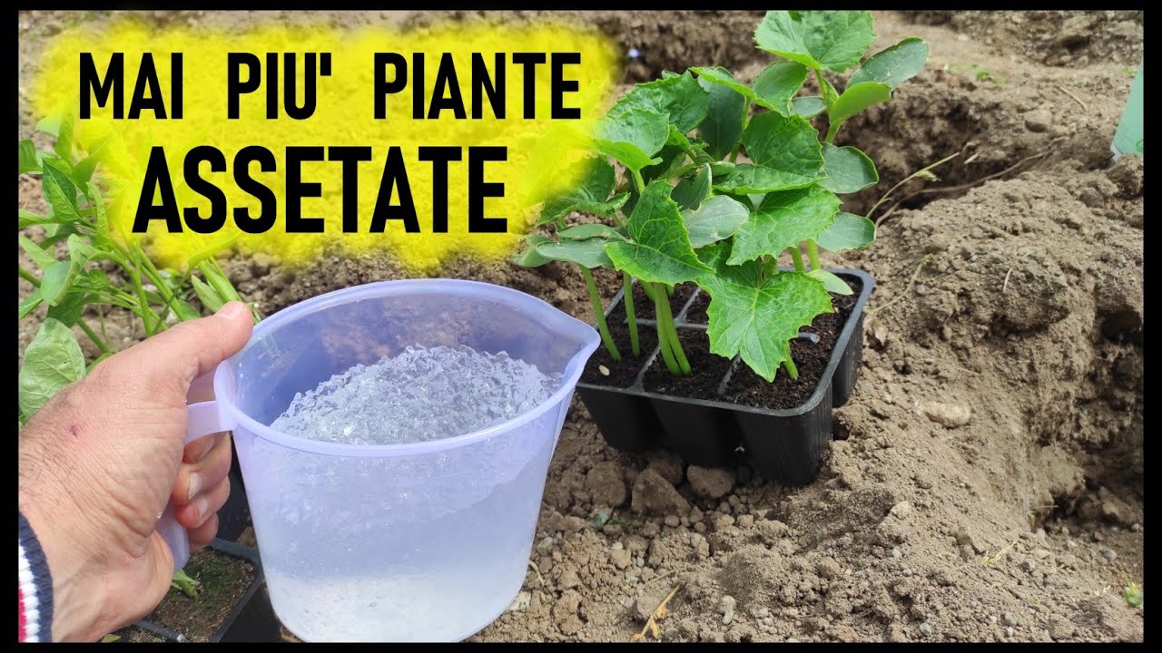 Idrogel per agricoltura | Gel idroretentore per piante