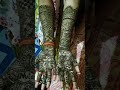 #heena#heenadegine @by niki