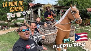 Mostrando La Vida En el Campo en Puerto rico 🇵🇷 | @elcowboytv