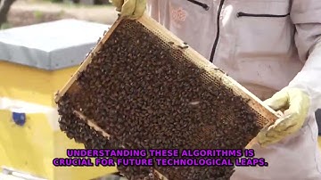 The Secret Swarm Intelligence Changing Future Robotics