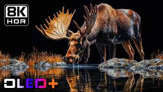 SPECIAL OLED - Magnificent Unreal Earth in 8K HDR | Dolby Vision™