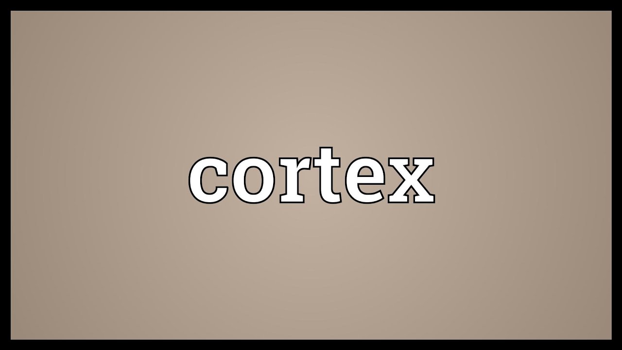 Cortex Meaning