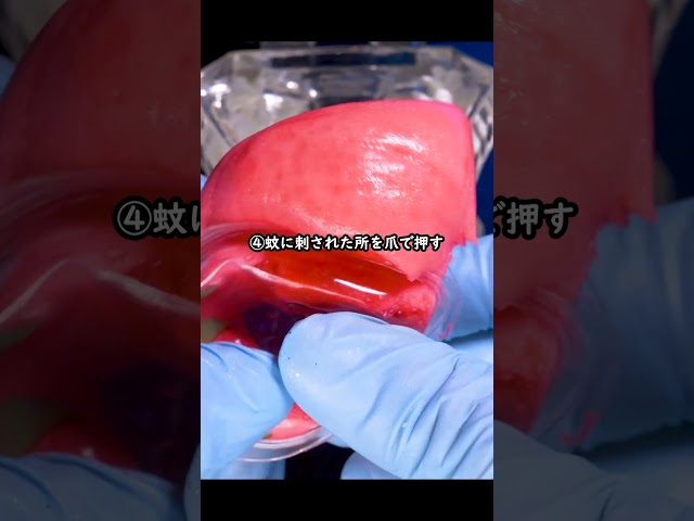 【限界突破】あなたが絶対にゆずれないのはどれ❓️　#asmr