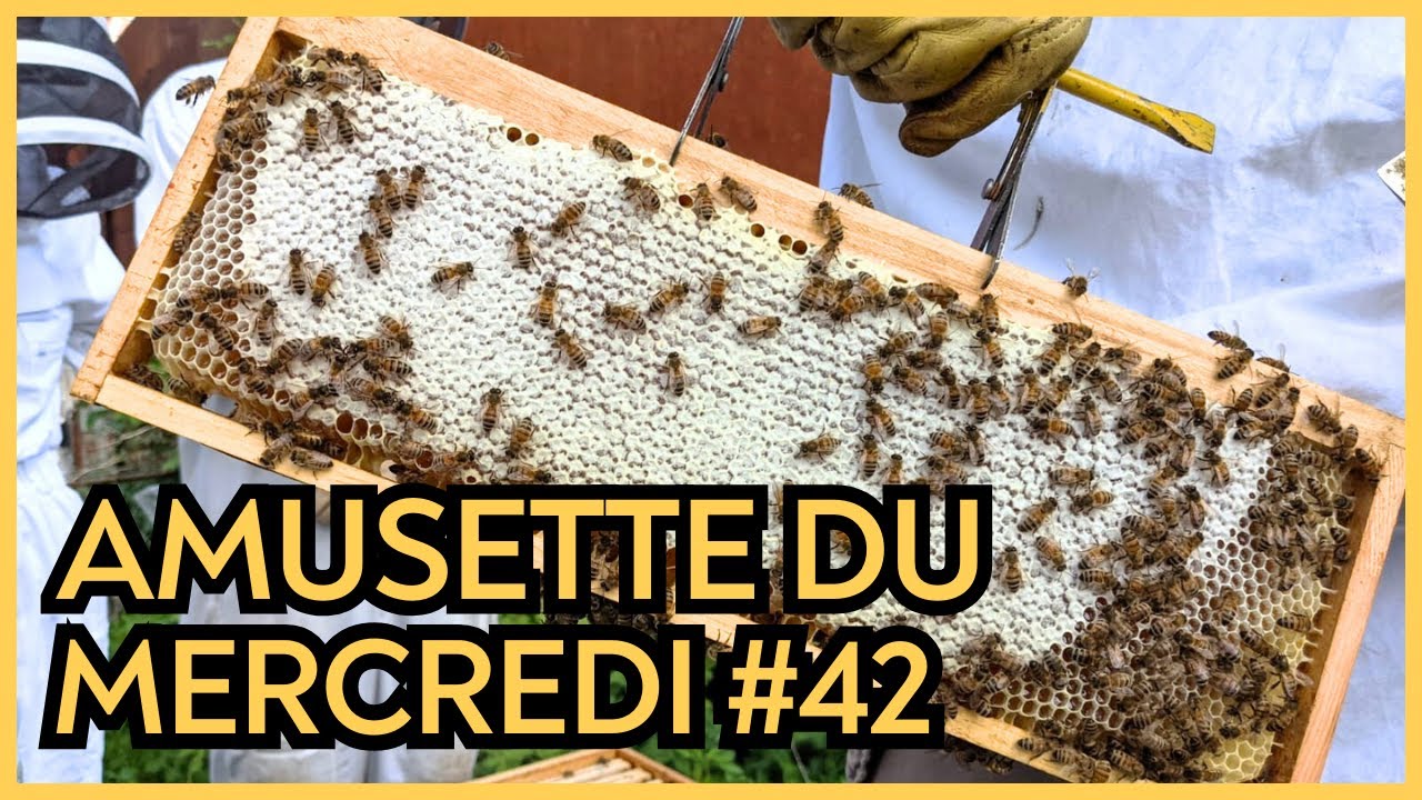 Soude Cire Électrique Pour Apiculture - Outil De Montage Rapide Des Cires Gaufrées Sur Cadres - 8