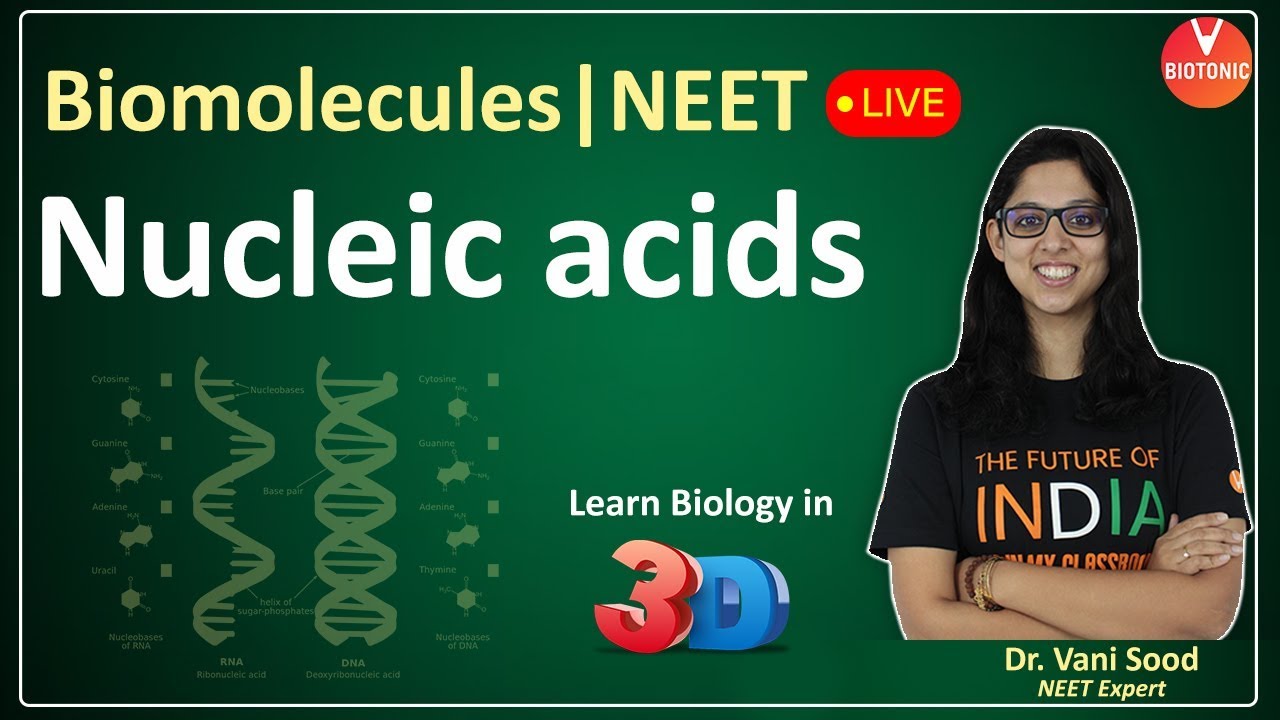 Nucleic Acids Biomolecules Class 11 CBSE Biology Science NEET