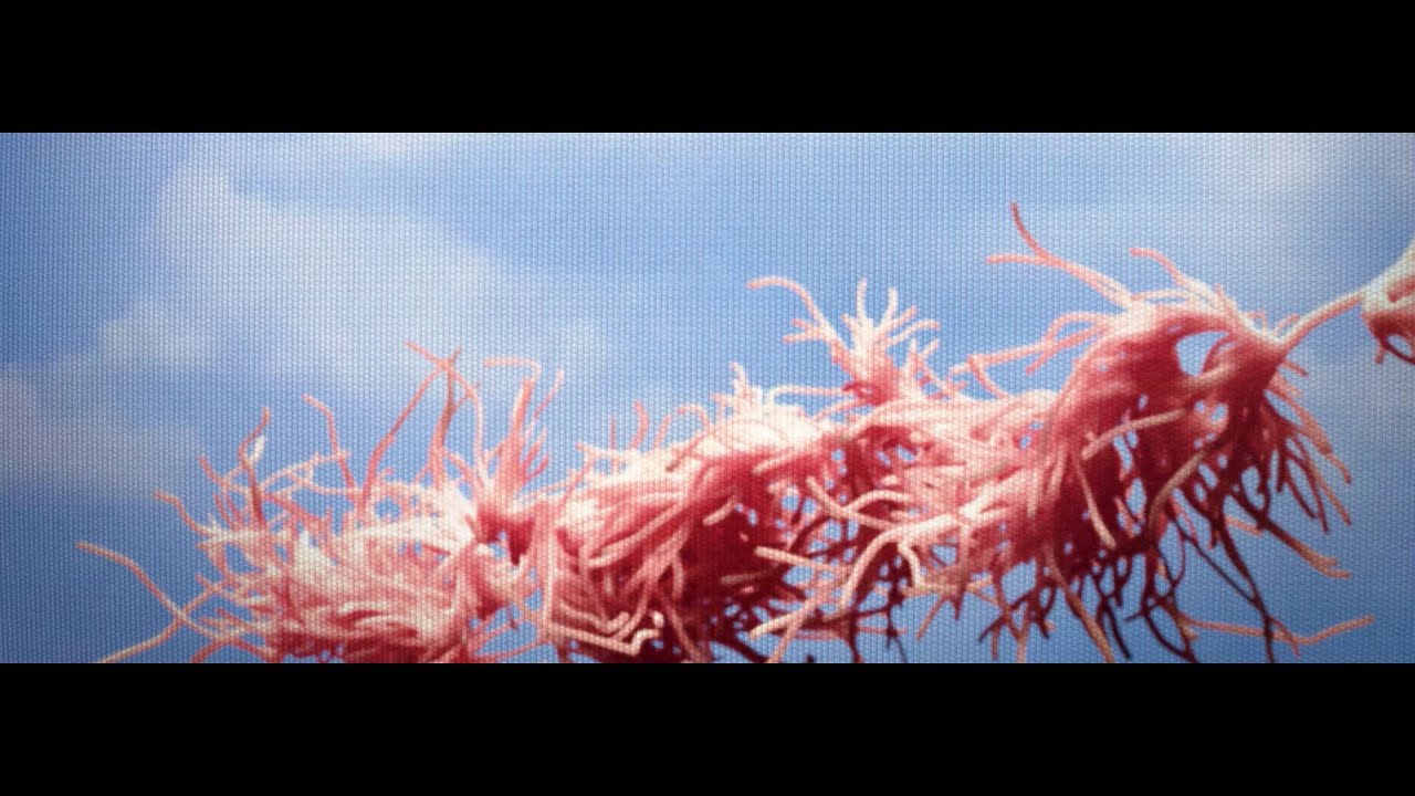 Ver Joakim - Make It Slow (Official Video) no YouTube Ver Joakim - Make It Slow (Official Video) no YouTube